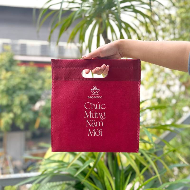 Túi vải không dệt in logo Túi vải không dệt in logo